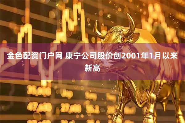 金色配资门户网 康宁公司股价创2001年1月以来新高