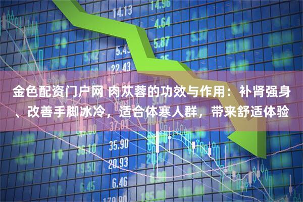 金色配资门户网 肉苁蓉的功效与作用：补肾强身、改善手脚冰冷，适合体寒人群，带来舒适体验